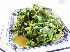 韭菜蚬肉-洞天食府(北大街店)