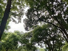 -灵隐飞来峰景区