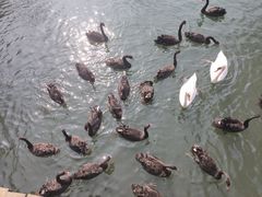 -长白岛森林公园