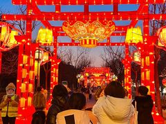 -洛阳市隋唐城遗址植物园