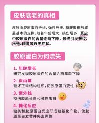 点击看大图 -玛莲朵·海菲秀冰珀科