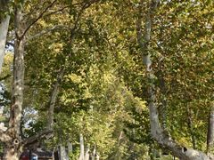 -曹家小菜(胜太路店)