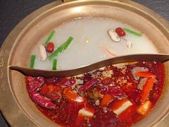 -熊喵来了火锅(四平万达第56分店)