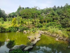 -云溪植物园