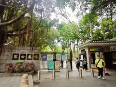 -晓港公园