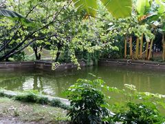 android_upload_pic-园林格兰云天大酒店-太极名厨中餐厅