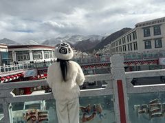 -布达拉宫