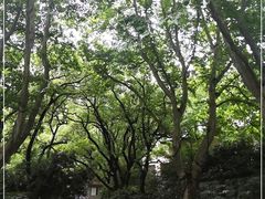 -杭州香格里拉饭店