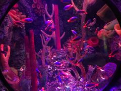 -沈阳海洋探索中心