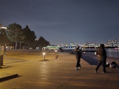 -台场海滨公园船码头