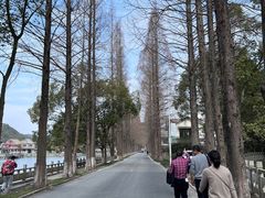 -黄贤森林公园