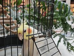 -太湖饭店玉兰厅(自助餐厅)