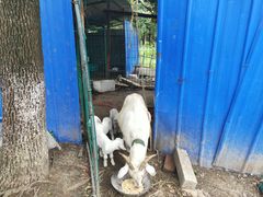 -呼吸森林·生态农庄农家乐私房菜