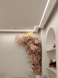 -苗方清颜痘肌研究所