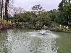 -上海醉白池公园