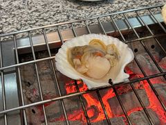 -震海贝烤贝·民俗特色店(延吉总店)