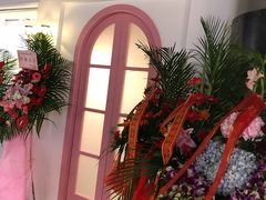 -香港珍妮曲奇聪明小熊饼干