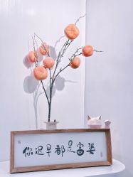 -DELAVAY黛乐薇抗衰中心