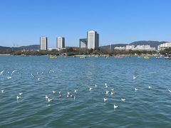 -蠡湖大桥公园