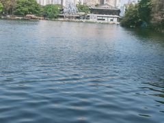 -荔湾湖公园