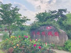 -鹅湖玫瑰文化园