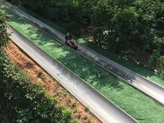 -富斯特索道