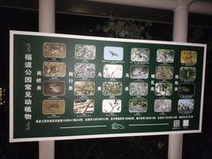 -福道