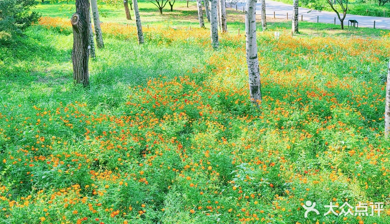 《快看看初秋时节的北京植物园有多美》