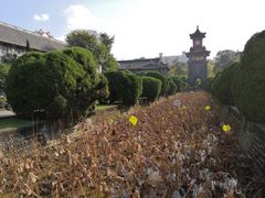 -四川大学(华西校区)