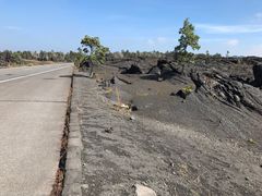 -夏威夷火山国家公园