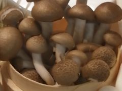 -洪氏嗨捞·猪肚鸡火锅(阳光天地店)