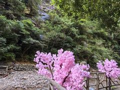 -太湖源风景区
