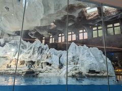 -帝企鹅自助餐厅•儿童岛•真企鹅(长隆企鹅酒店)