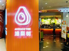 -油梨树 AVOCADO TREE(亮马桥店)