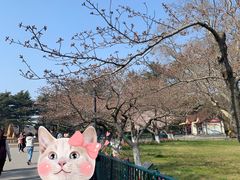 -青岛中山公园-索道售票处