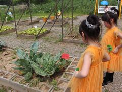 -前小桔亲子创意农场·草莓采摘·露营烧烤