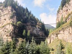-芦芽山旅游度假区