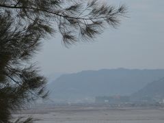 -北岐滩涂