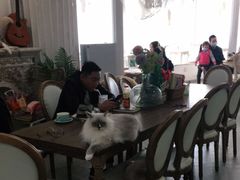 大堂-共舞时光猫咖·狗咖(新街口店)
