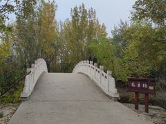 -塘沽森林公园