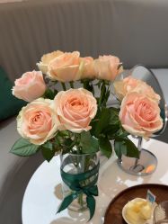 -薇薇安花系SPA