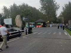 -合肥滨湖国家森林公园