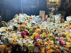 -中环花鸟鱼虫市场