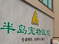 -半岛宠物医院24小时(科华中路店)