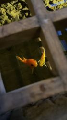 -汉刺青TATTOO STUDIO