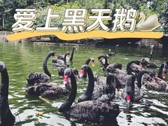 -深圳野生动物园