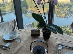 -安乐茶饭·手工素菜·高空景观餐厅(千灯湖店)