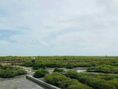 -北海金海湾红树林生态旅游区