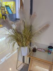 -MONICABOX美甲美睫