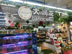-大润发(鹤山店)